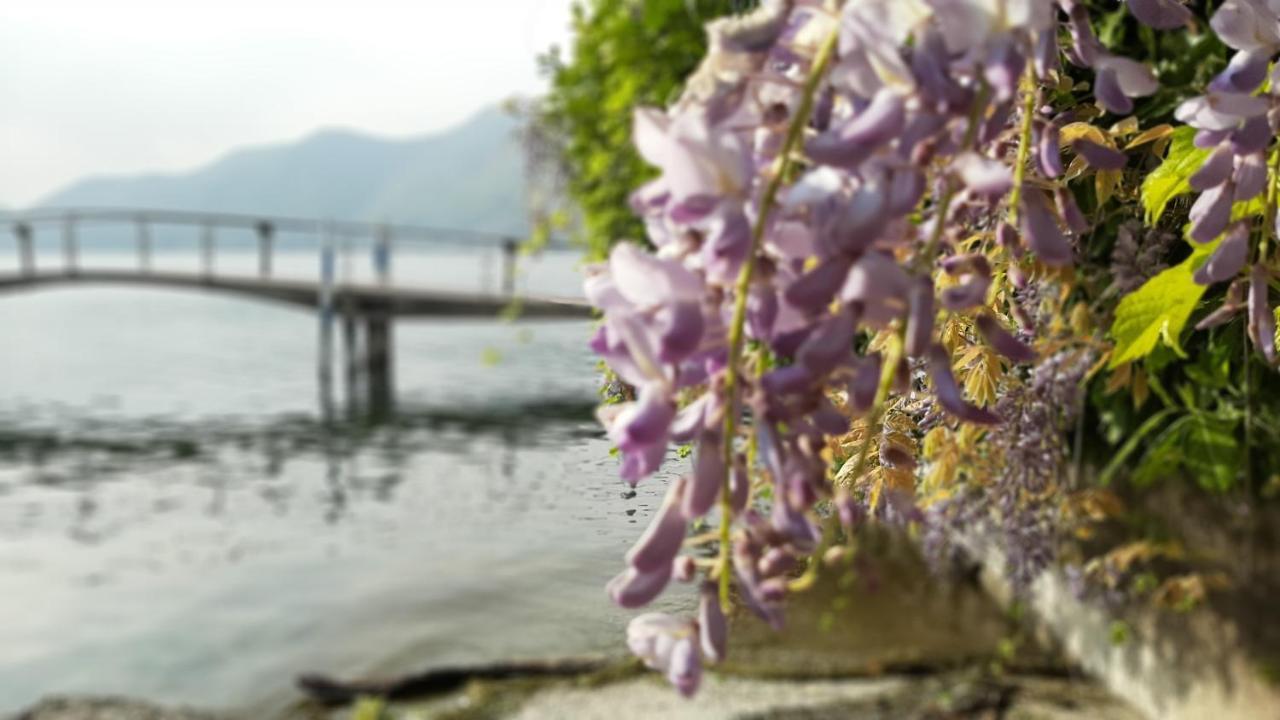 B&B La Veranda - Iseo Esterno foto